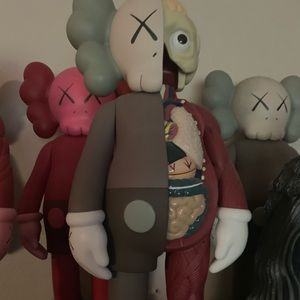 Kaws Companion